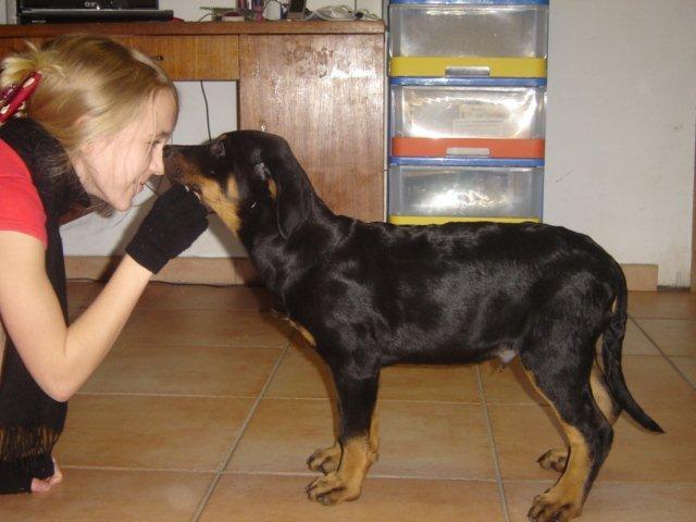 Photo 065